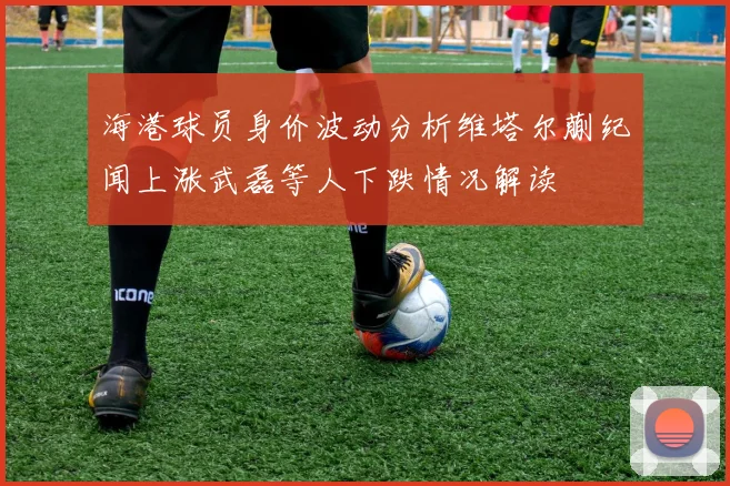 海港球员身价波动分析维塔尔蒯纪闻上涨武磊等人下跌情况解读